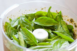 Basil Leaves in a Blender