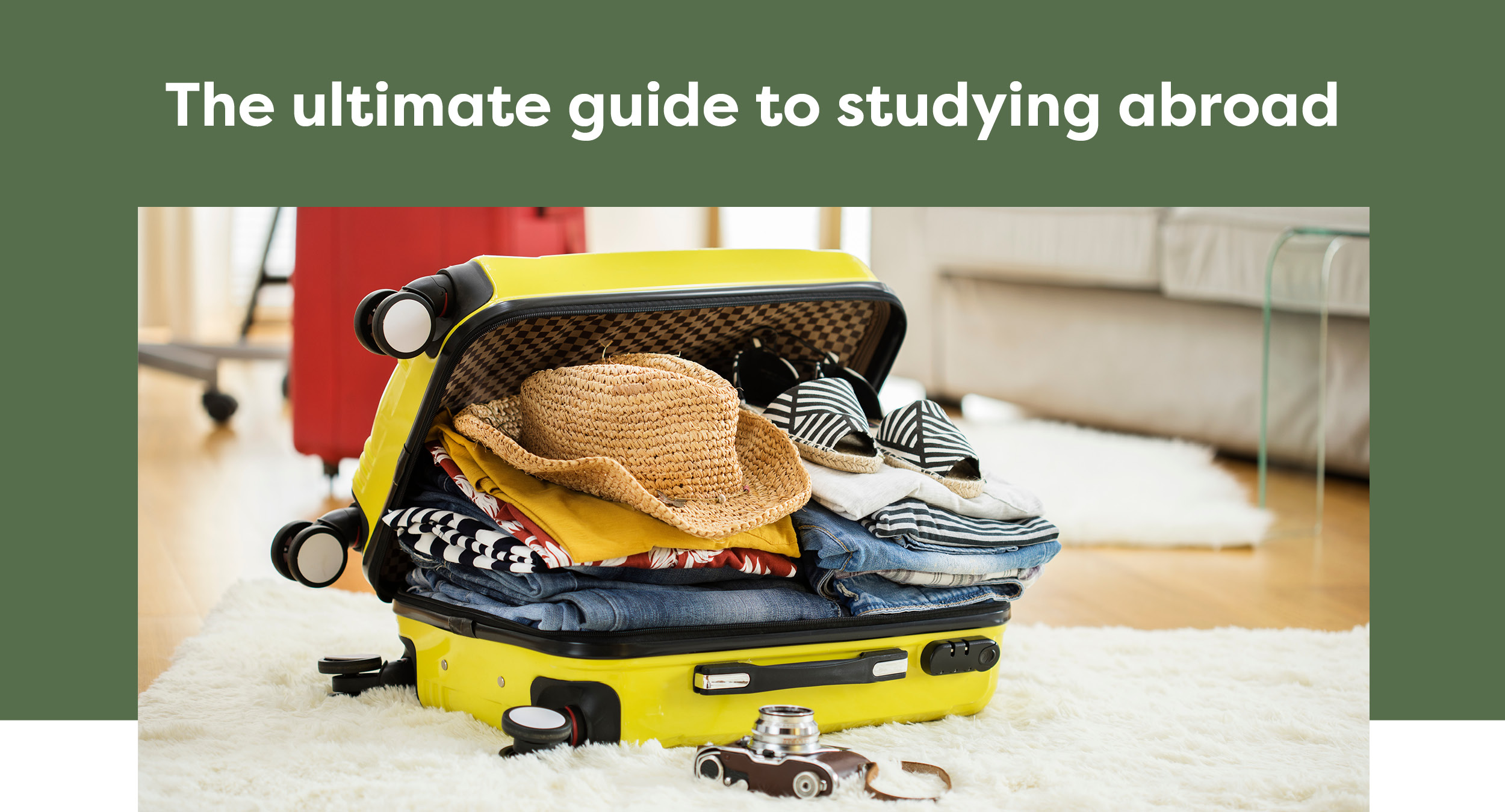 The ultimate guide to studying abroad