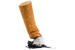 Cigarette Butt