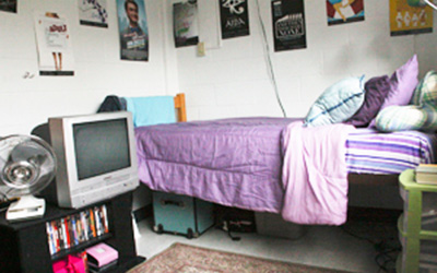 Room Decorated with Posters